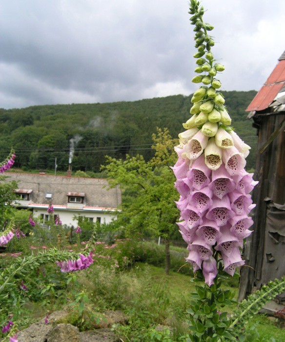 Arhes, 5.7.2007, Oldichov