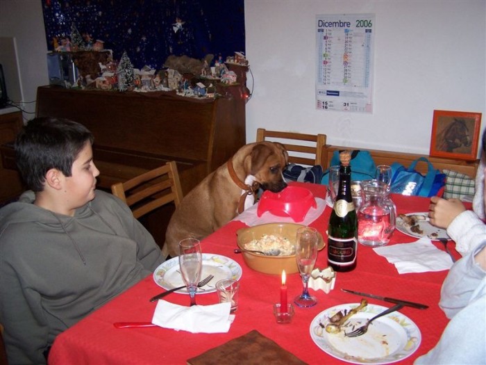 Hector, Vnoce 2006, Grottammare