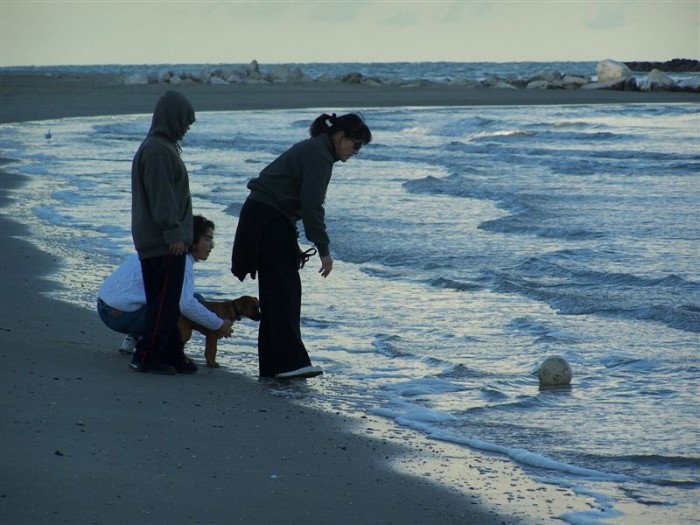 Hector, Vnoce 2006, Grottammare