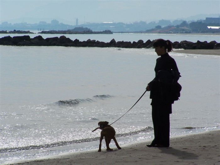 Hector, Vnoce 2006, Grottammare