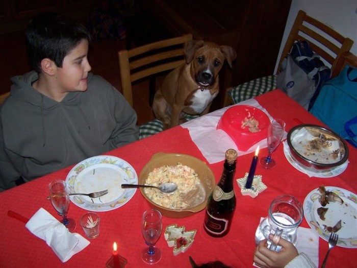 Hector, Vnoce 2006, Grottammare