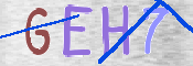 Kontrolní text